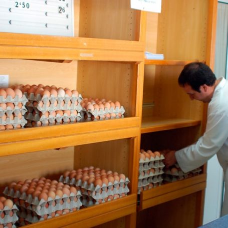 Centros Especiales de Empleo